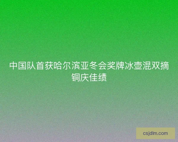 中国队首获哈尔滨亚冬会奖牌冰壶混双摘铜庆佳绩