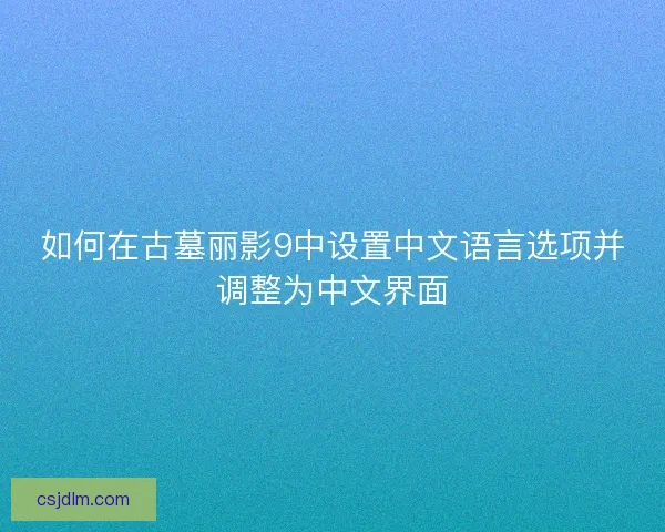 如何在古墓丽影9中设置中文语言选项并调整为中文界面