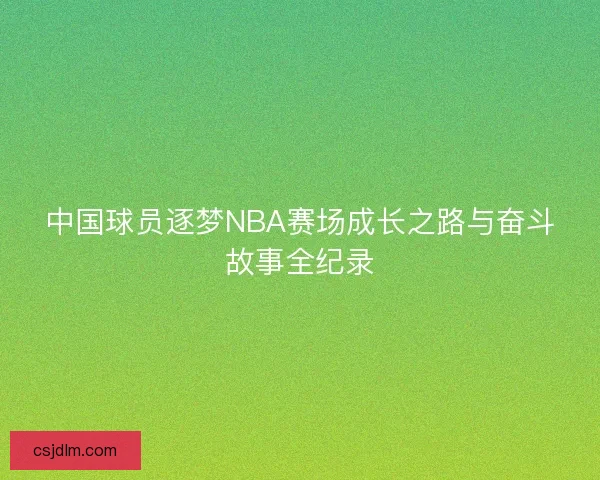中国球员逐梦NBA赛场成长之路与奋斗故事全纪录