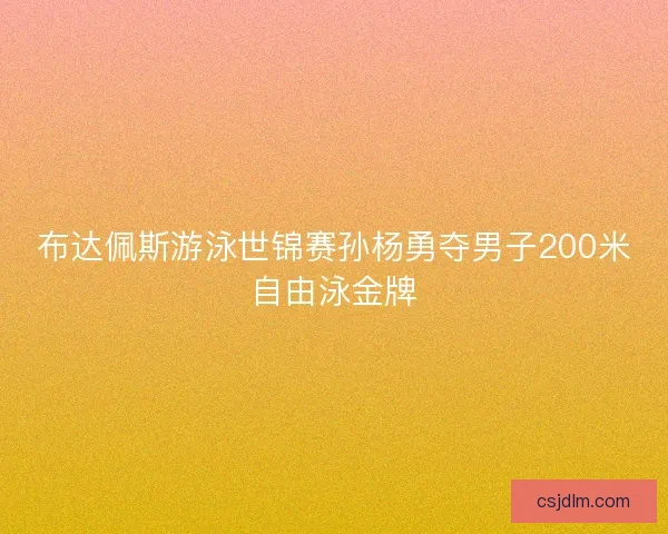 布达佩斯游泳世锦赛孙杨勇夺男子200米自由泳金牌