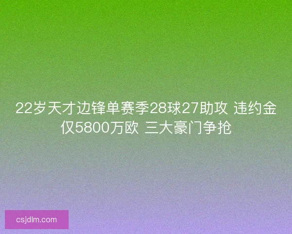 22岁天才边锋单赛季28球27助攻 违约金仅5800万欧 三大豪门争抢