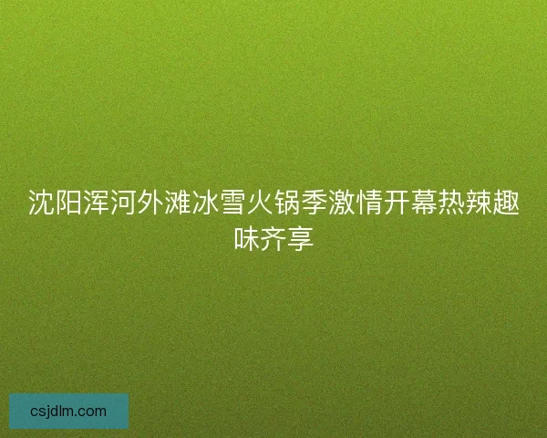 沈阳浑河外滩冰雪火锅季激情开幕热辣趣味齐享