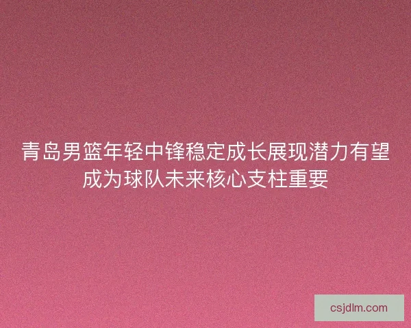 青岛男篮年轻中锋稳定成长展现潜力有望成为球队未来核心支柱重要