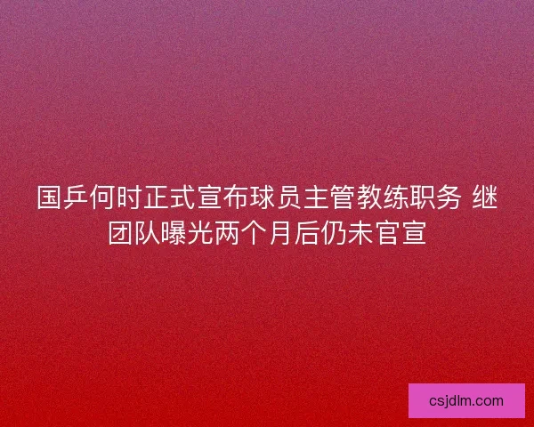 国乒何时正式宣布球员主管教练职务 继团队曝光两个月后仍未官宣